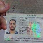 Ixtri passaport onlajn, jixtru passaport Amerikan, jixtru passaport tal-UE, jixtru passaport Kanadiż,