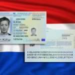 신분증 구매, 신분증 비용, 네덜란드 신분증 구매, 가짜 네덜란드 신분증 구매,